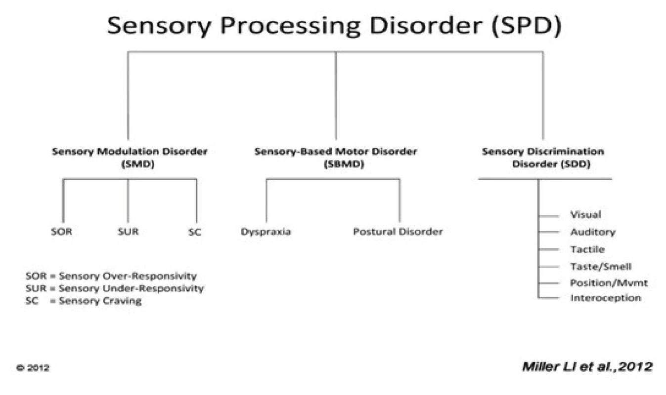 Schéma poruch senzorického zpracování.