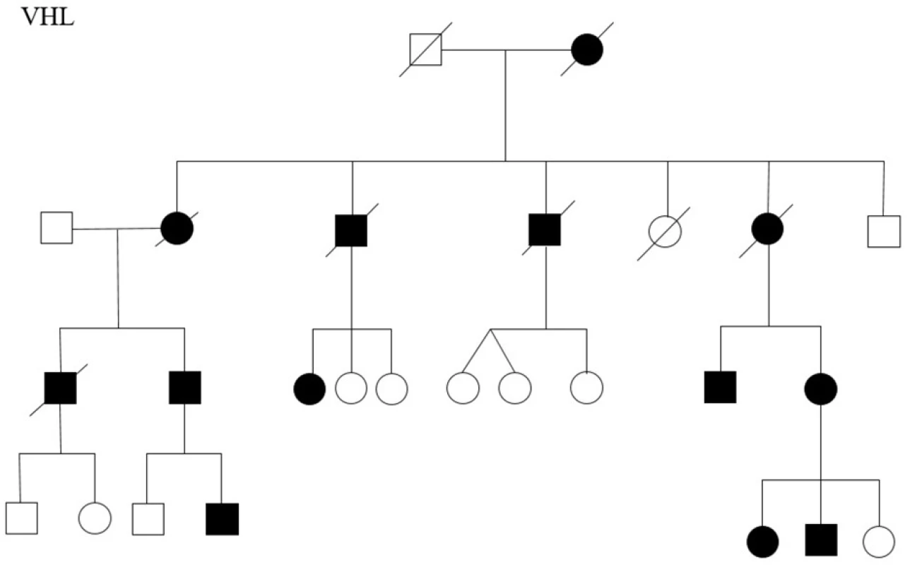 Rodokmen rodiny s Von Hippel Lindau syndromem<br>
Fig. 3. The family tree of the family with Von Hippel Lindau syndrome