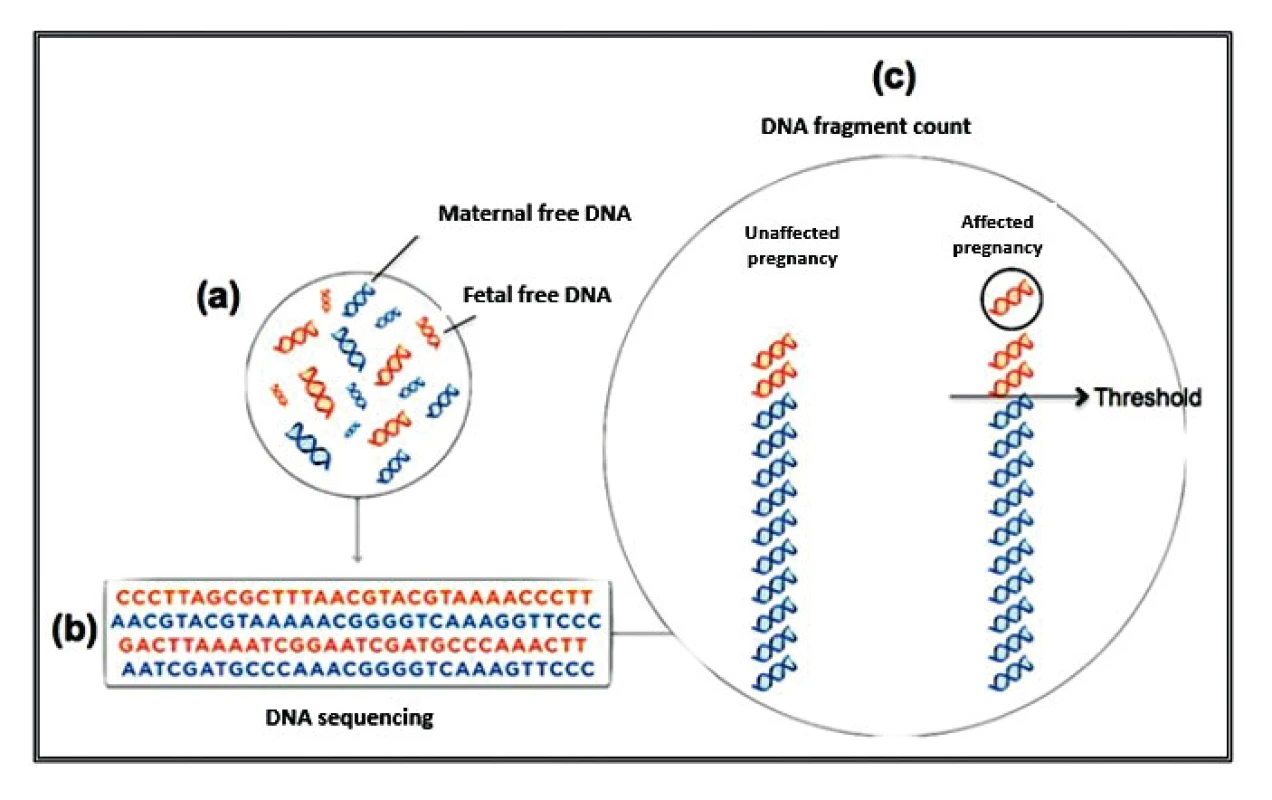 Schematic illustrative of MPS sequencing. (a) In the mother's blood there are free DNA fragments of fetal and maternal origin; (b) all fragments are sequenced simultaneously; (c) each sequence is assigned to the chromosome that originated it and the excess or deficit in the number of fragments, relative to an expected limit for euploid pregnancies, is considered aneuploidy.