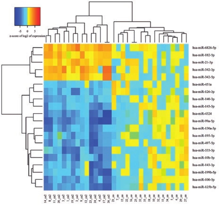 Heatmapa dvadsiatich najvýznamnejších miRNA
v analyzovaných vzorkách