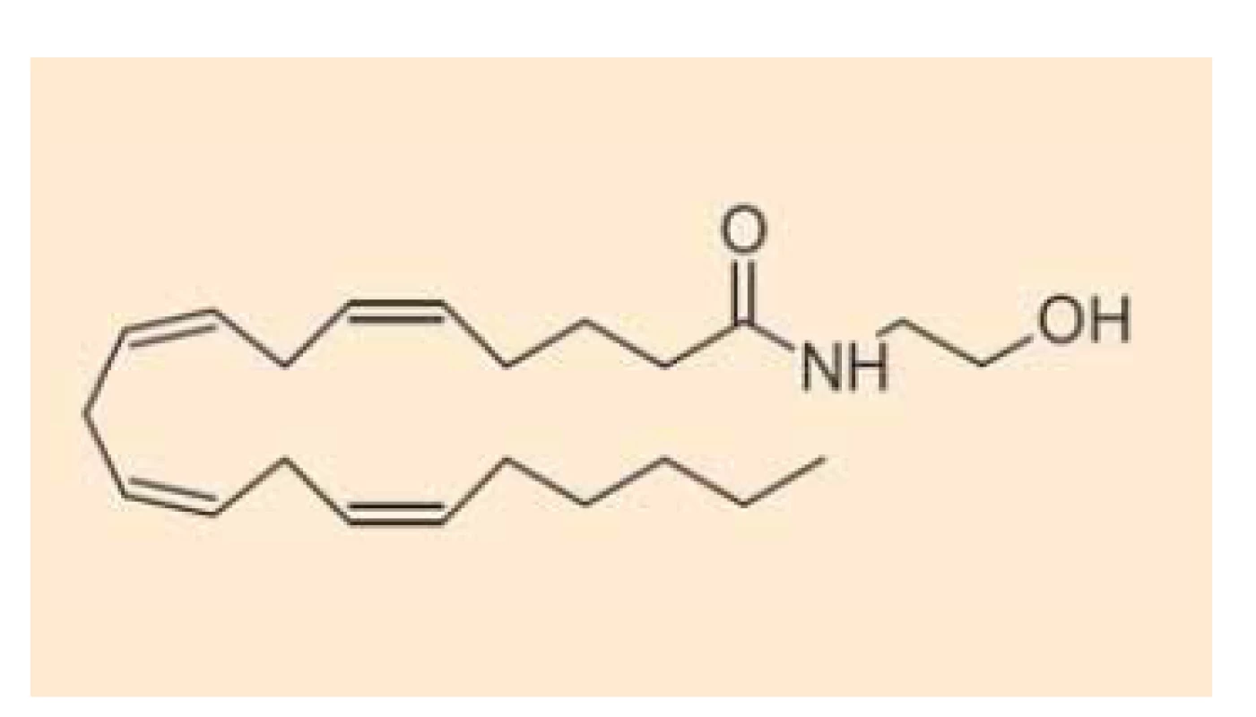 Chemická struktura
anandamidu.<br>
Fig. 1. Chemical structure of
anandamide.