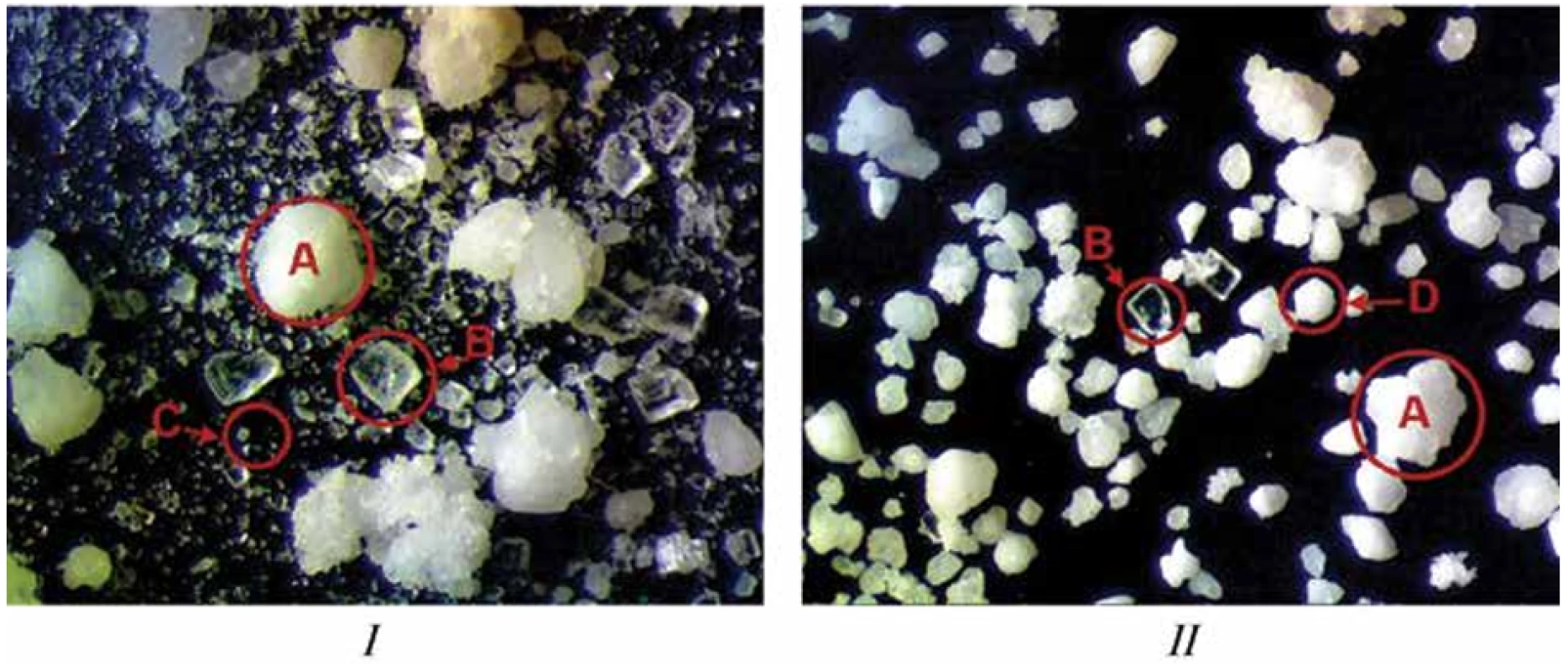 Optical microscopy characterization (3.3 times zoom) of particles: I – simple mixed blend (batch DC), II – blend prepared with the step of wet granulation (batch WG), A – HiG® particles, B – ascorbic acid particles, C – lysozyme hydrochloride and the rest excipient particles, D – granules obtained from lysozyme hydrochloride, sucralose, and taste additive