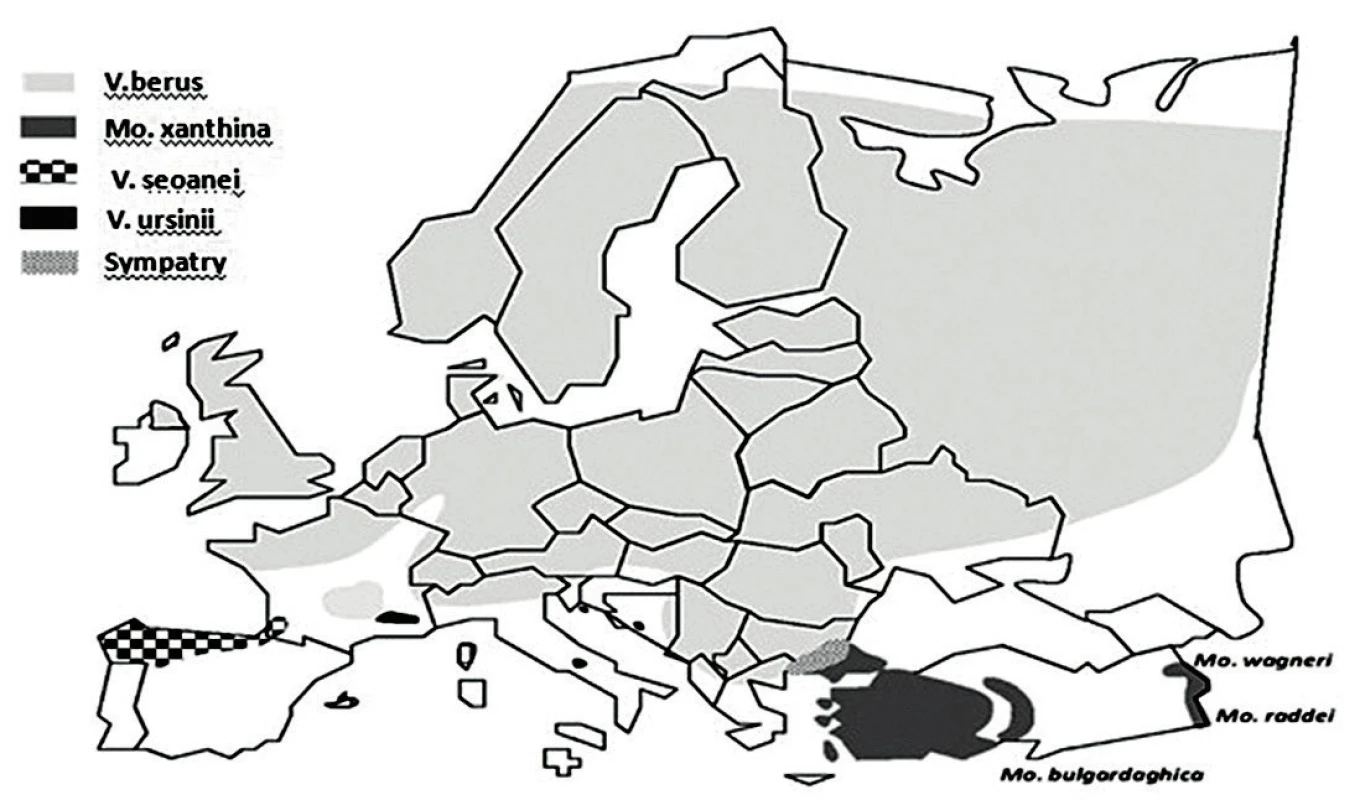 Distribúcia jednotlivých druhov hadov z čeľade Viperideae v Európe. Upravené
podľa [1].