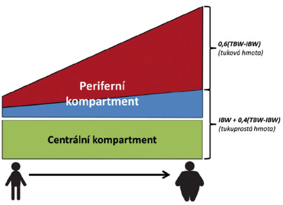 Schematické znázornění tělesného složení u pacientů podle BMI. 
Na schématu je patrné, že relativní množství tuku v těle stoupá rychleji, než 
množství tukuprosté váhy