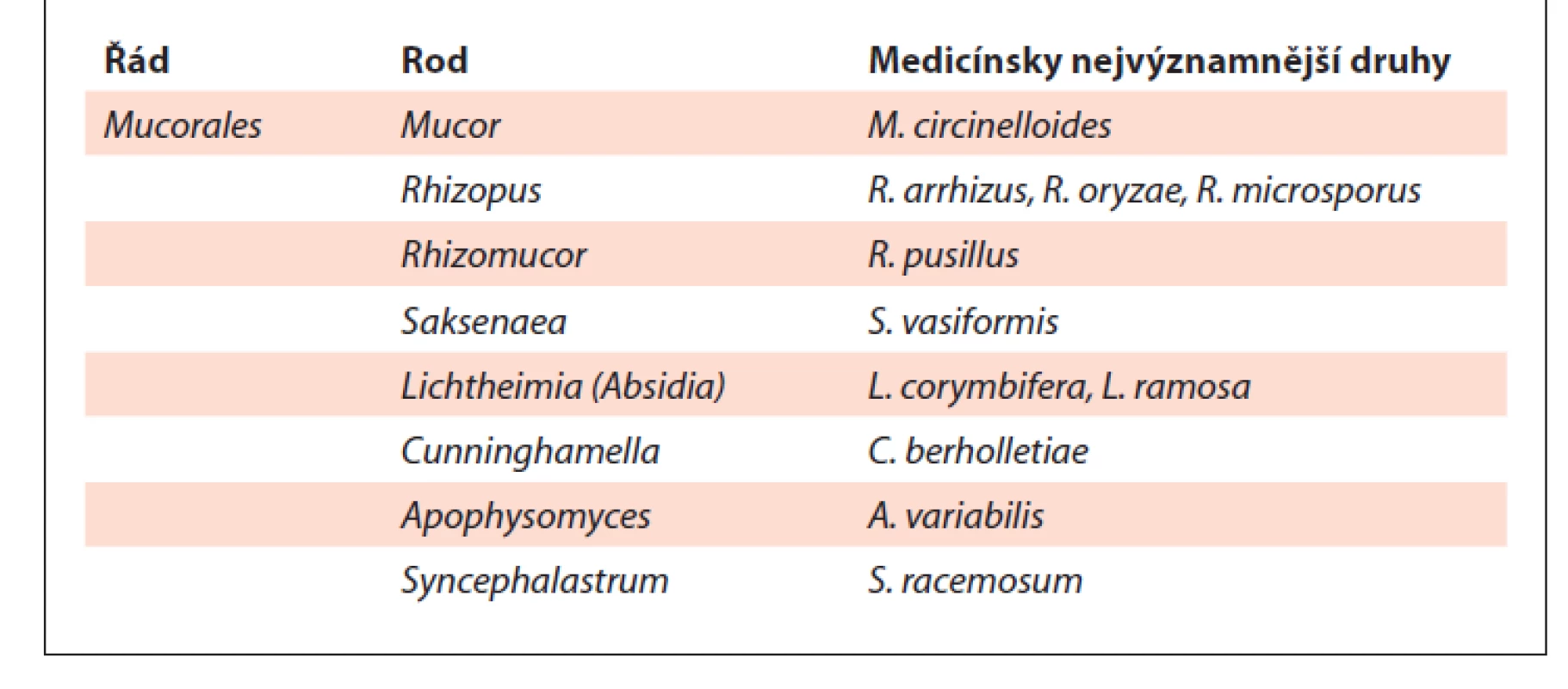 Přehled klinicky nejvýznamnějších druhů řádu Mucorales
(volně upraveno podle [2]).
