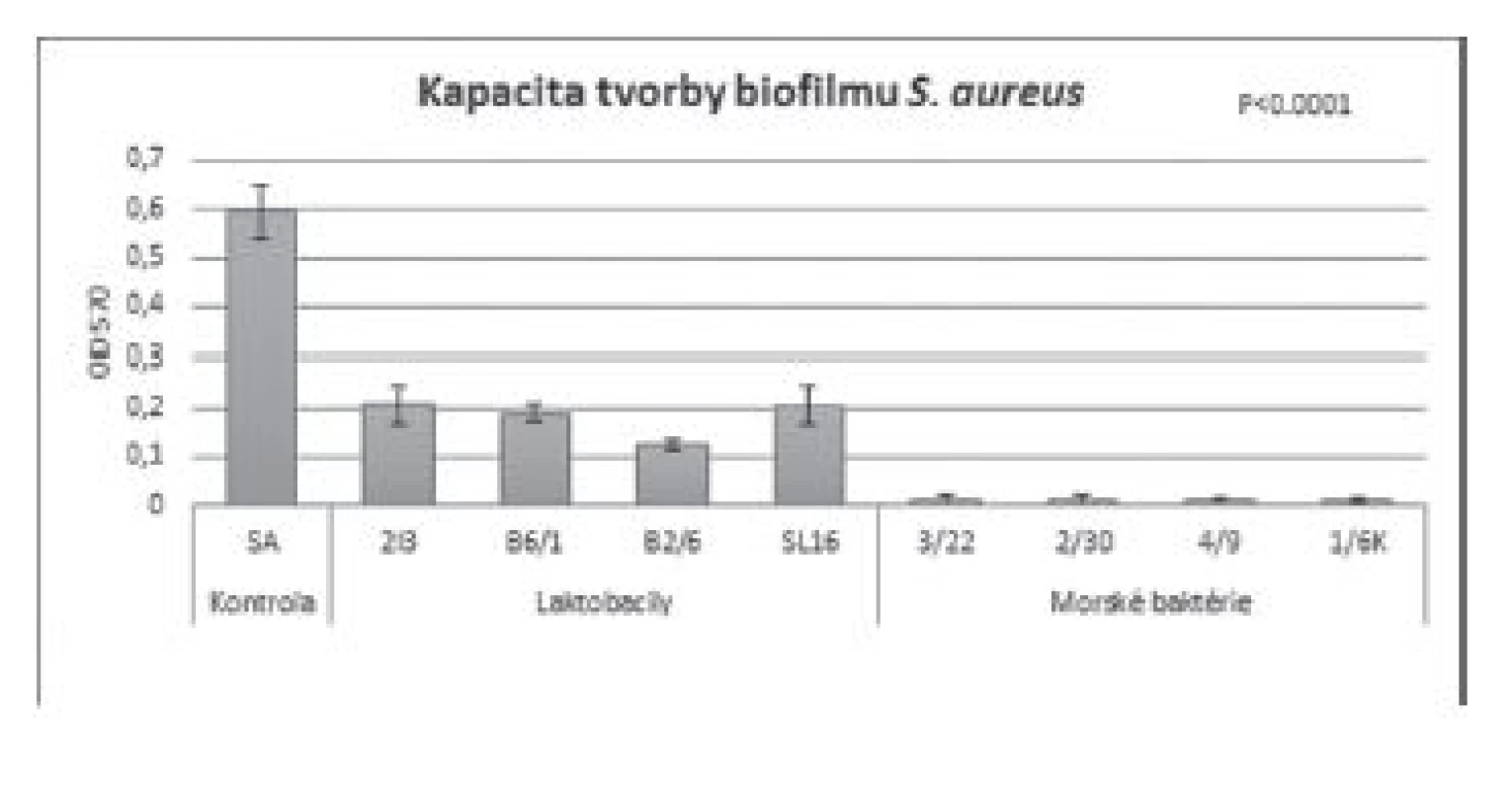 Antibiofilmová aktivita BS (c = 8,57 mg/ml) izolovaných
z laktobacilov a morských baktérií voči S. aureus CCM 3953