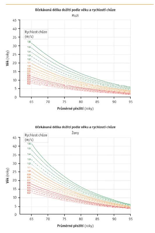 Rychlost chůze u mužů a žen ve vztahu k mortalitě (upraveno podle Studenski et al., 2011)11