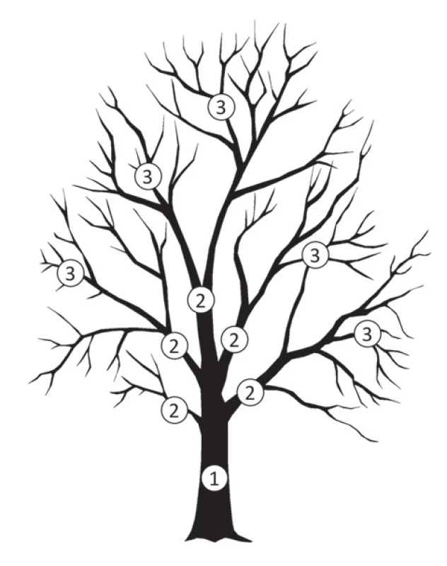 „Trunk-branch“ model nádorové heterogenity.
