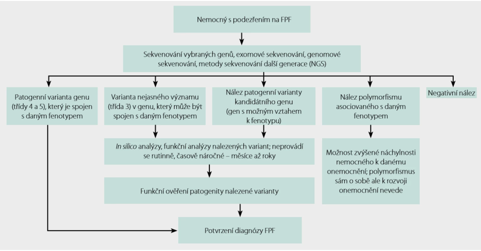  Postup genetického testování při podezření na familiární plicní fibrózu (FPF)