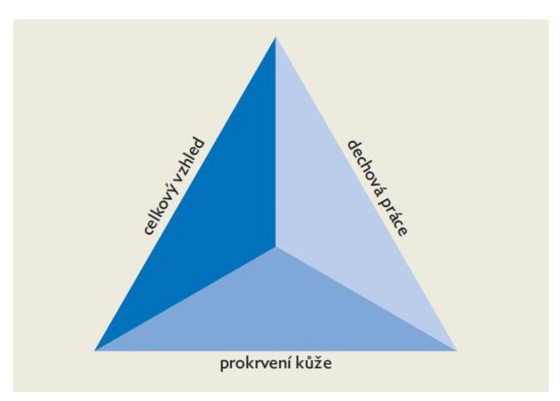 Pediatrický hodnoticí trojúhelník, upraveno dle(3)