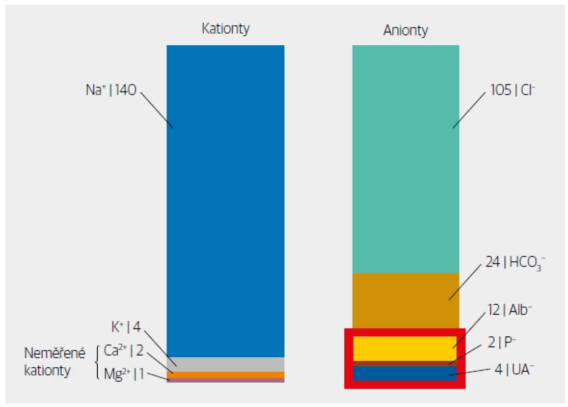 Základní iontové složení plazmy a zobrazení prostoru, který přibližně reprezentuje AG (červeně
ohraničený obdélník). Skutečná hodnota AG je snížena o neměřené kationty (Ca2+, Mg2+), které nejsou
na straně kationtů ve vzorci započítány. UA− – neměřené anionty.