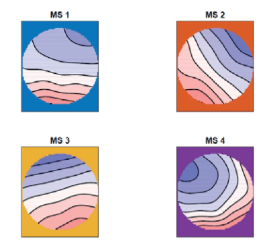 The mean of the topographic maps in the nonepileptic controls for four microstates (MS 1, MS 2,
MS 3, MS 4)