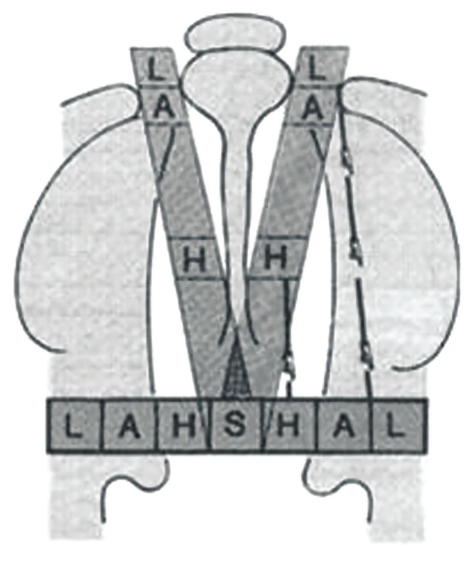 Schematic visualization of the Kriens classification LAHSHAL [5].<br>
Capital letter means complete cleft, lowercase letter an incomplete cleft.<br>
L – lip right, A – alveolus right, H – hard palate right, S – soft palate (median), hard palate left – H, alveolus left – A, lip left – L.