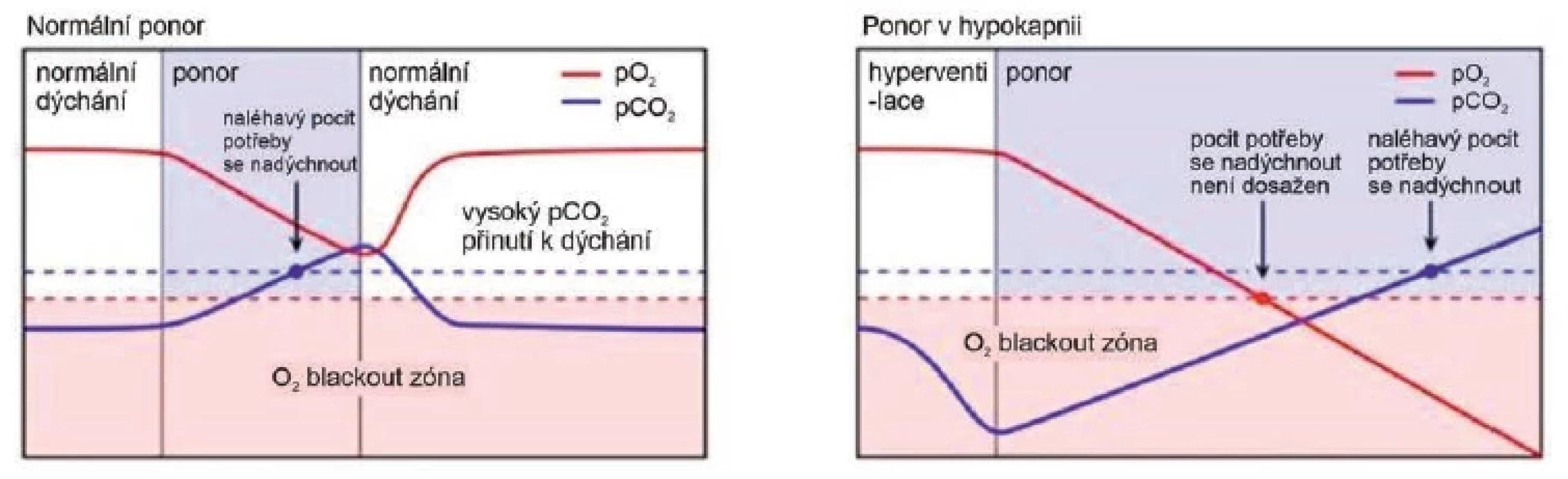 Změny pO2 a pCO2 v průběhu apnoického potápění po normálním dýchání a po hyperventilaci (po hyperventilaci se pocit
potřeby se nadechnout dostaví opožděně, v době, kdy hrozí blackout nebo již k němu dojde)