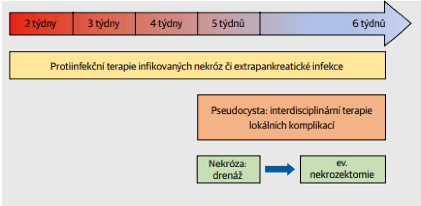  Léčebný postup pozdější fáze akutní pankreatitidy. Typickými terapeutickými opatřeními jsou antibiotická terapie infikovaných pankreatických nekróz a extrapankreatických komplikací, terapie lokálních
komplikací (drenáž pseudocyst) a po konsolidaci nekróz (WON – walled-off necrosis) definitivní
nekrozektomie.