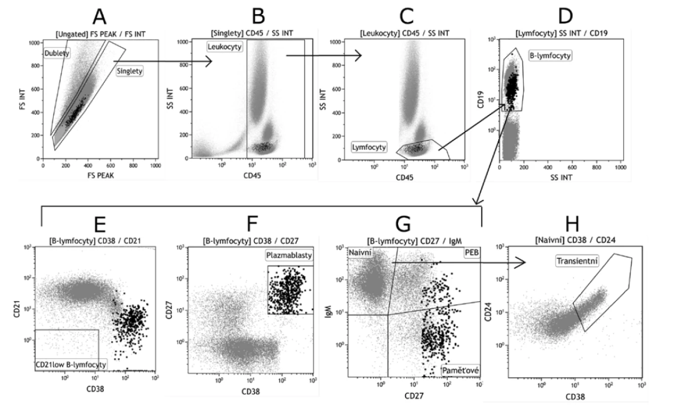 Základní gatovací strategie B lymfocytárních subpopulací<br>
Figure 2. Basic gating strategy for B cell populations