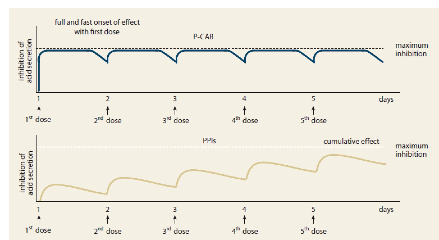 Time course of acid inhibition by P-CABs and PPIs – computer simulation [1].<br>
Obr. 2. Časový průběh inhibice kyseliny pomocí P-CAB a PPI – počítačová simulace [1].
