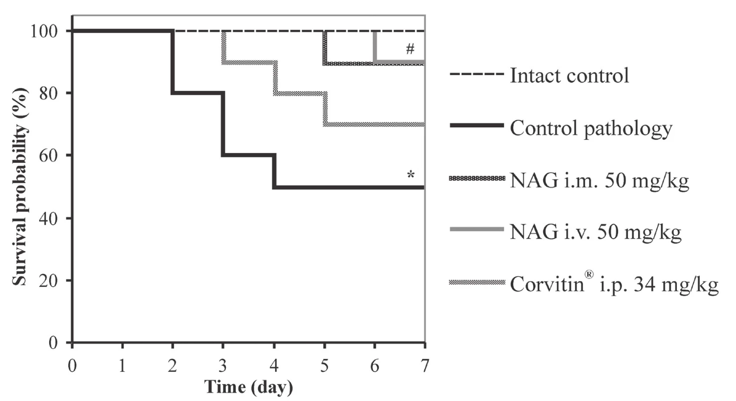 Kaplan-Meier survival curves in rats with AKI under the influence of NAG (n = 48)<br>
* significant relative to the intact control group (p < 0.05)<br>
# significant relative to the control pathology group (p < 0.05)<br>
n – number of animals in the experiment