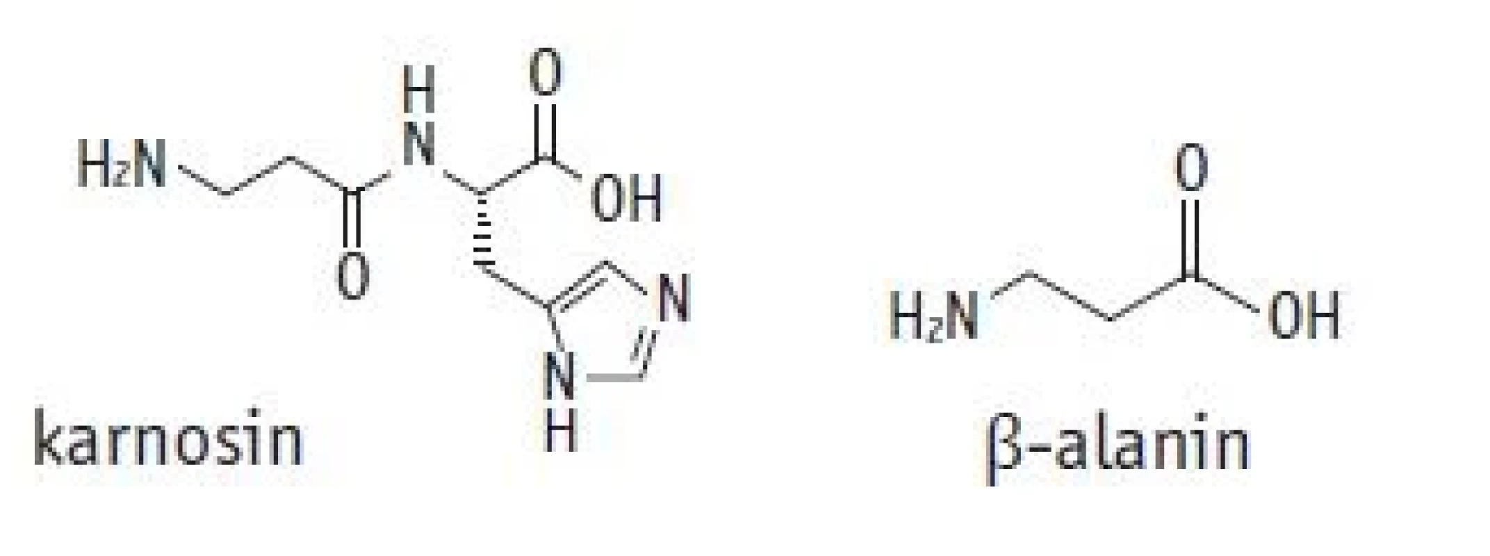 Chemická struktura karnosinu a β-alaninu