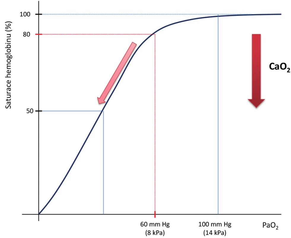 Disociační křivka hemoglobinu pro O<sub>2</sub>
 a koncentrace O<sub>2</sub>