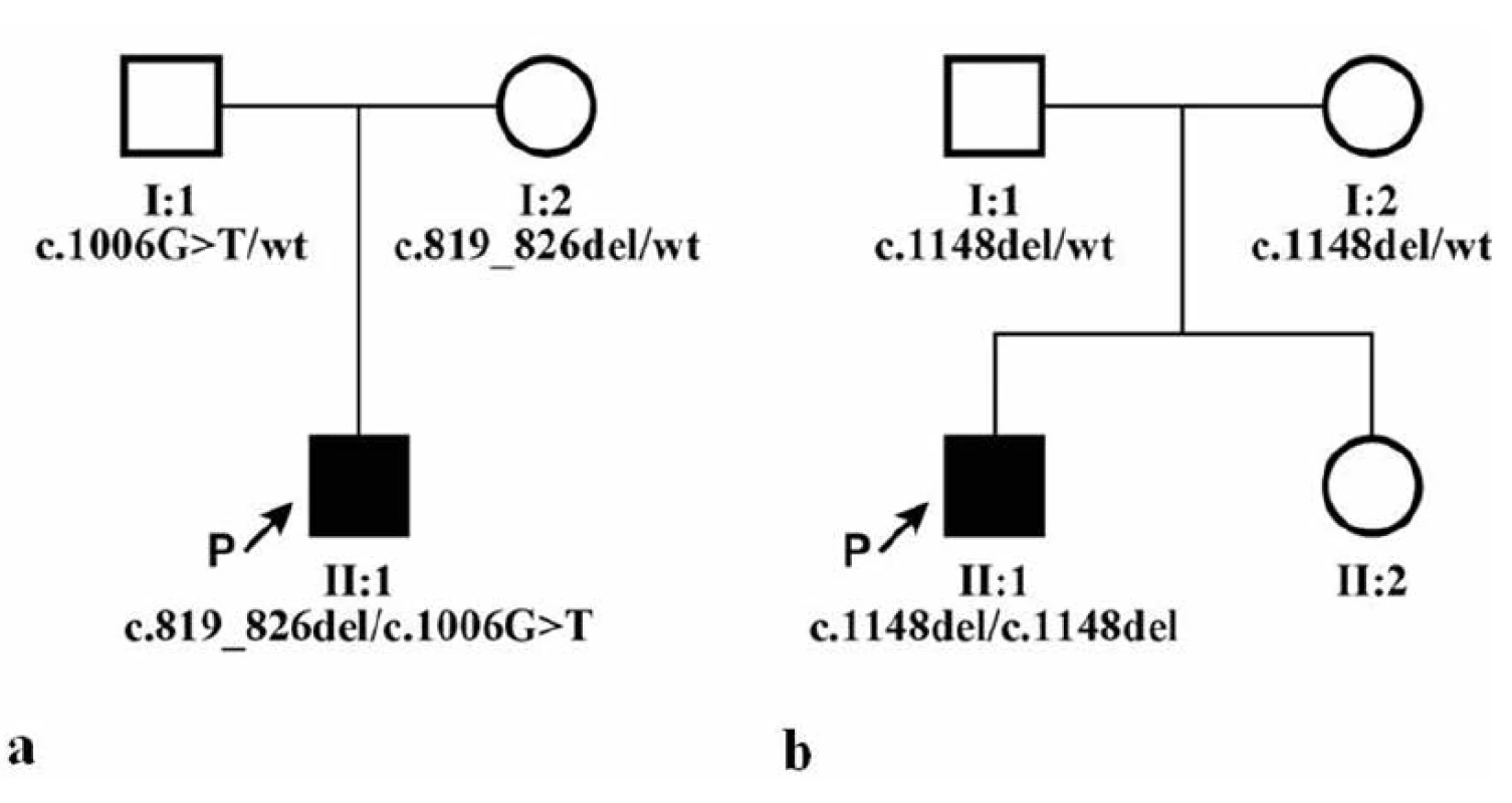 Rodokmeny obou rodin a segregace identifikovaných mutací v genu
CNGB3, wt označuje referenční sekvenci (anglicky „wild type“). a) rodina probanda
1, b) rodina probanda 2