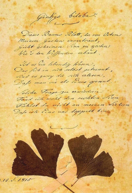 Goethův rukopis básně Gingo biloba