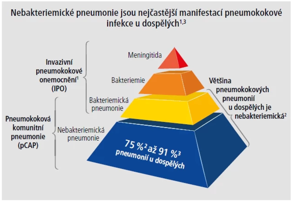 Nejčastější manifestace pneumokokových infekcí u dospělých je způsobena nebakteriemickými pneumoniemi. [Upraveno podle 1–3]