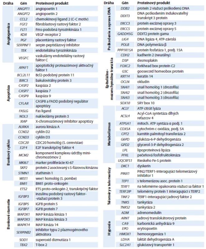 Zoznam sledovaných génov a ich rozdelenie do metabolických dráh.