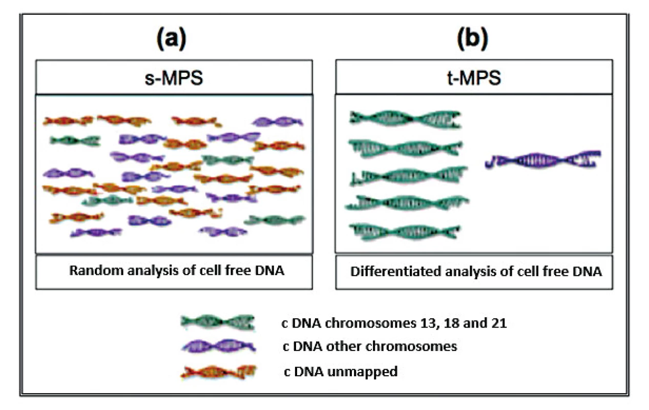  Schematic illustrating the difference between s-MPS and t-MPS techniques. (a) the s-MPS methodology analyzes the c DNA fragments of all chromosomes; (b) the t-MPS methodology only analyzes the c DNA fragments of the chromosomes of interest as it includes an initial target sequencing step in which specific regions of each chromosome of interest is selectively amplified.