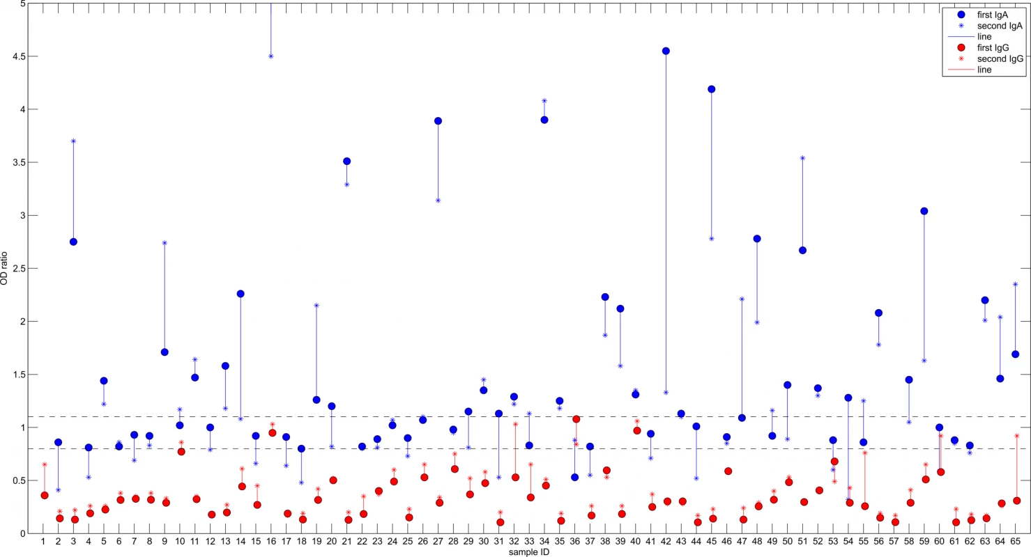 První a druhé vyšetření protilátek v Písku. Přerušovaná čára značí hranice negativity (0,8) a pozitivity (1,1). Hodnoty prvního vyšetření (tečka) a druhého vyšetření (křížek) u dané osoby spojuje vertikální čára. IgG jsou zobrazeny červeně, IgA modře. Hodnoty IgA u osob číslo 1, 16 a 57 se nacházejí mimo rozsah osy y (jsou vyšší).