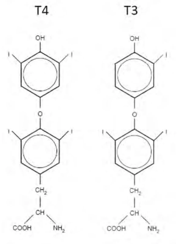 Chemická struktura levotyroxinu (T4) a trijodotyroninu (T3)