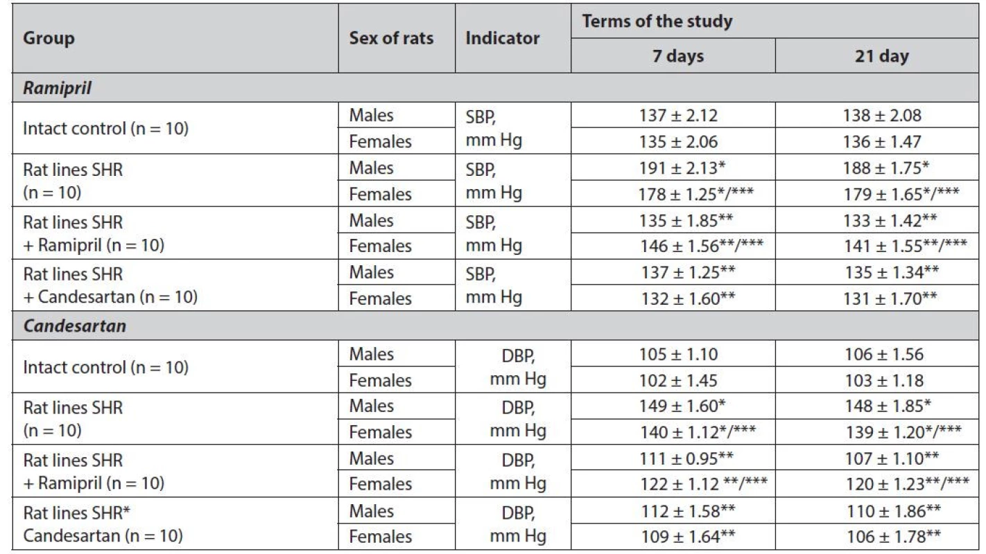 Study of gender differences in the effect of ramipril and candesartan on blood pressure in SHR rats