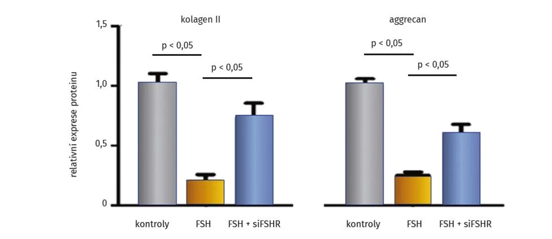 Deaktivace receptoru FSH upravuje útlum syntézy extracelulární matrix chrupavky in vitro (upraveno podle (35))