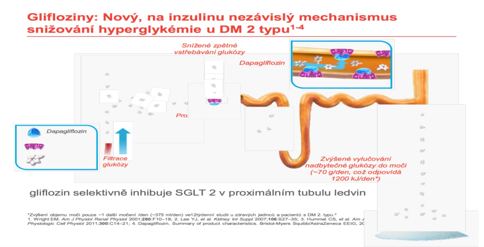 Vysvětlení ztráty glukózy močí. Zdroj: AstraZeneca.<br>
Fig. 8. Explanation of urine glucose loss. Source: AstraZeneca.

