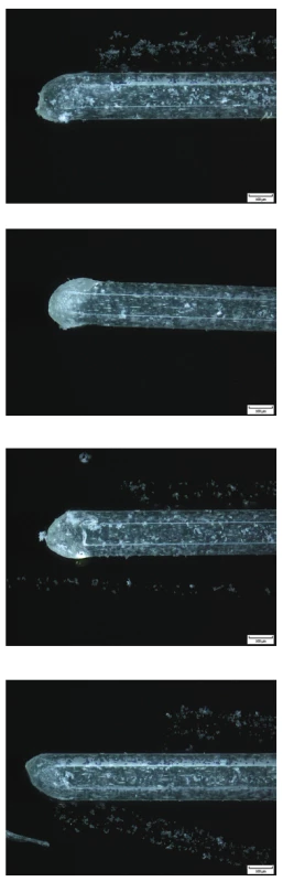 a–2d Variabilita v morfologii vláken
různých zubních kartáčků
zobrazená pomocí konfokální
mikroskopie (zdroj: archiv
doc. Roubalíkové)<br>
Fig 2a–2d Variability in fiber morphology
of different toothbrushes
imaged by confocal microscopy
(source: archives
Assoc. Prof. Roubalíková)