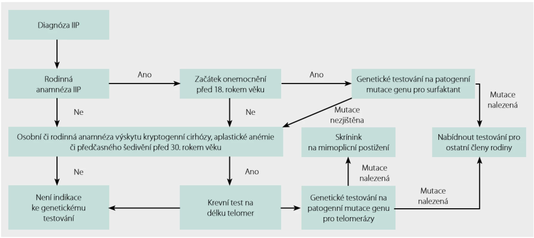 Genetické testování v rodinách s FPF. Podle Kropski a kol. (11)
