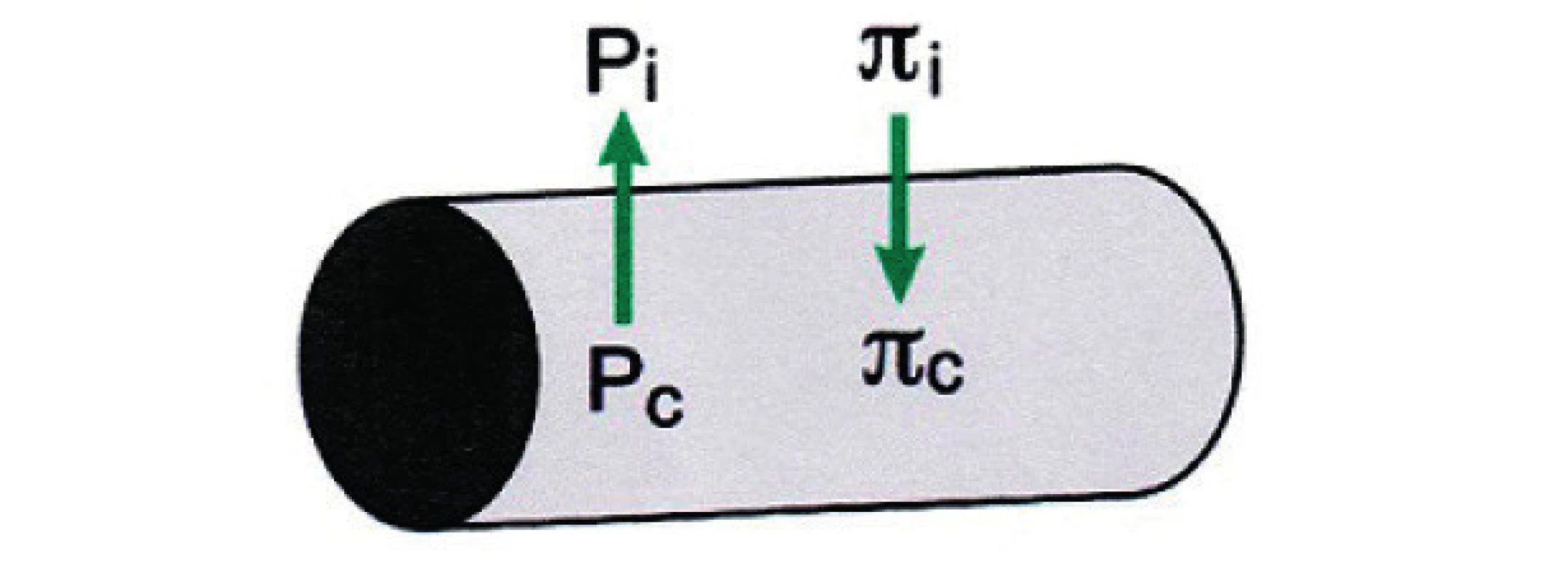 Reabsorpce a filtrace v kapiláře <br> NDF – Net Driving Force (tlak v Pa), Pc – hydrostatický tlak v kapilárách, Pi – intersticiální tlak v mezibuněčném prostoru, πc – kapilární osmotický tlak, πi – intersticiální osmotický tlak, σ – reflekční koeficient 