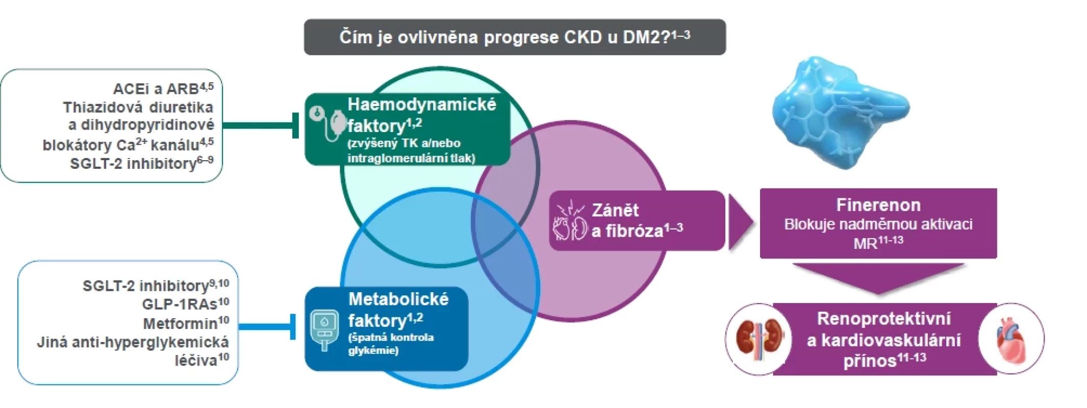 Současné terapie pro pacienty s CKD a DM2 primárně ovlivňující hemodynamické a metabolické faktory