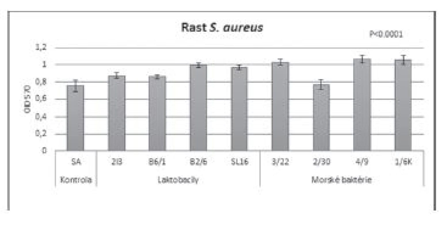 Vplyv BS (c = 8,57 mg/ml) izolovaných z laktobacilov
a morských baktérií na rast S. aureus CCM 3953